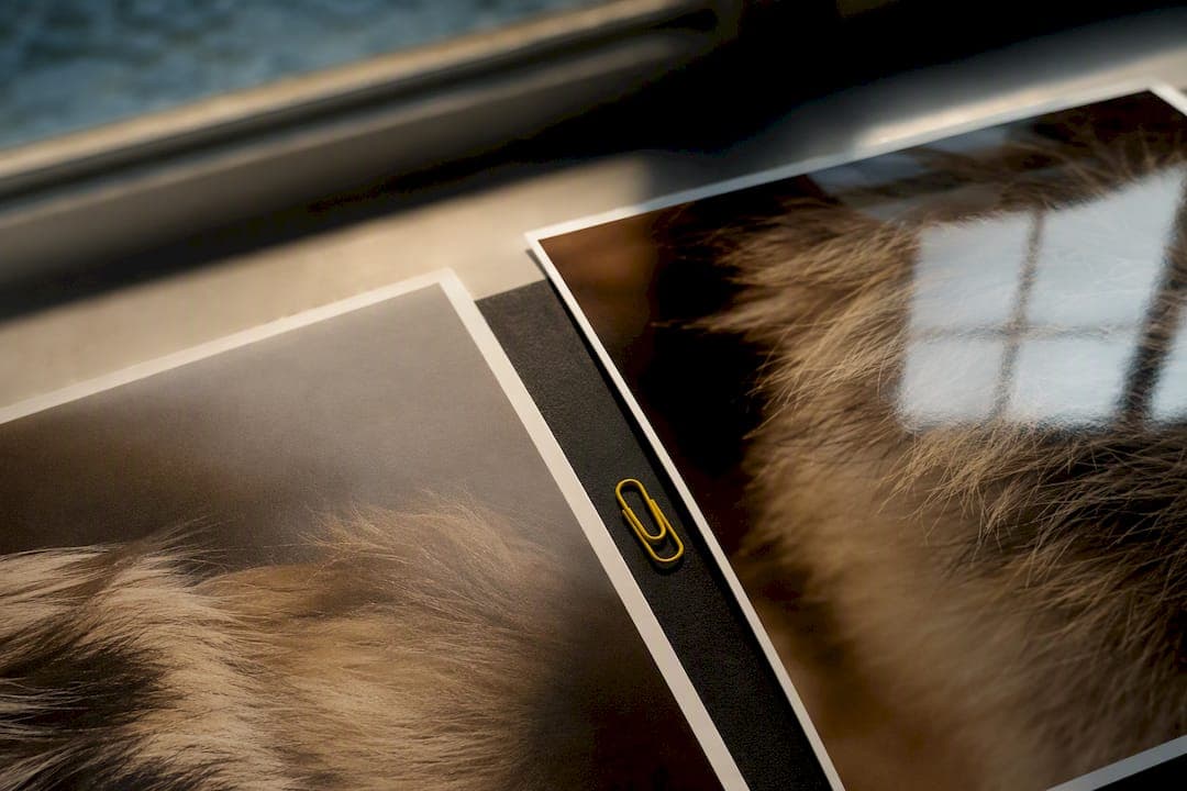 3 Questions to Pick Matte or Glossy Paper for Photos
